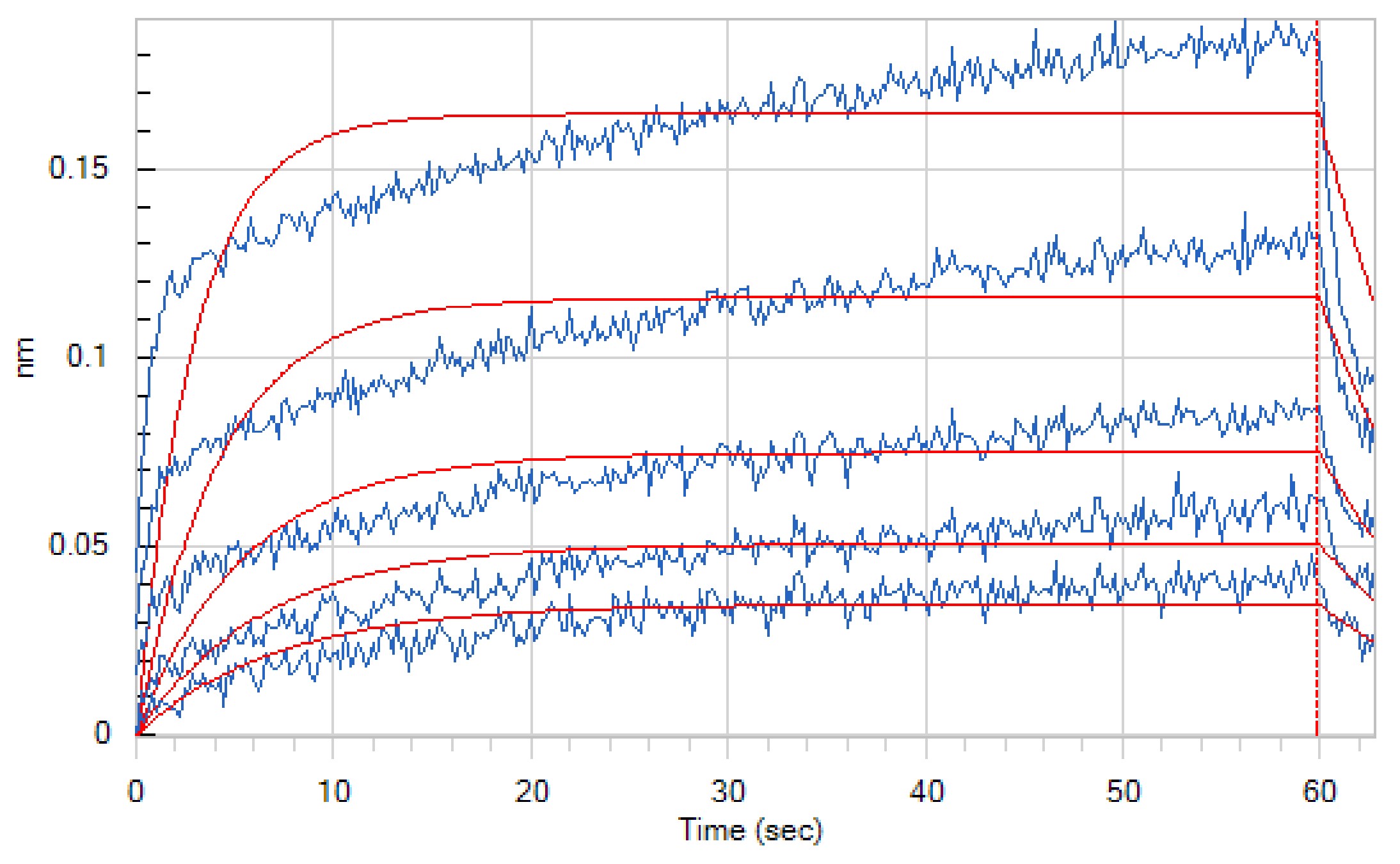 Human CD32b +BLI.jpg